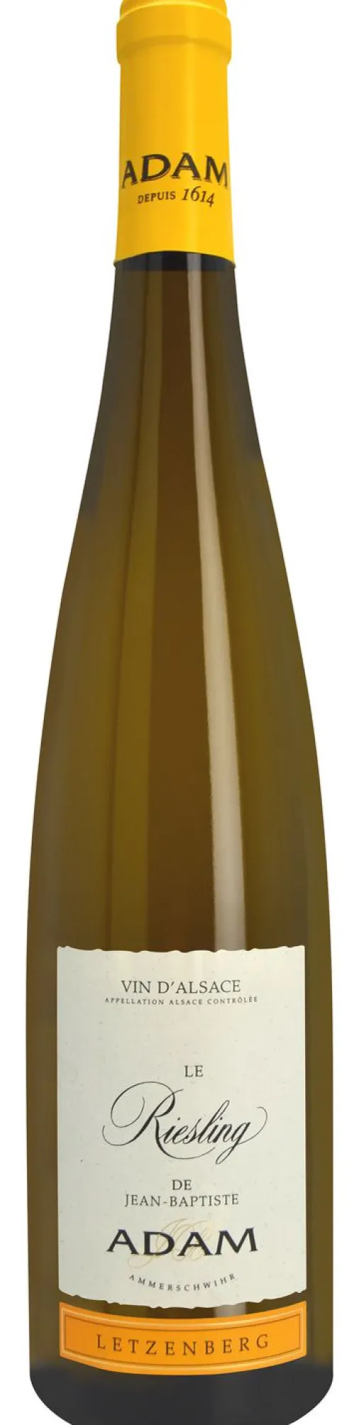 Riesling Letzenberg Bio|Adam