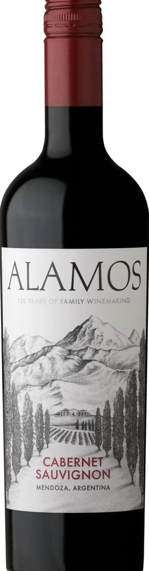 Cabernet Sauvignon|Alamos Outlet