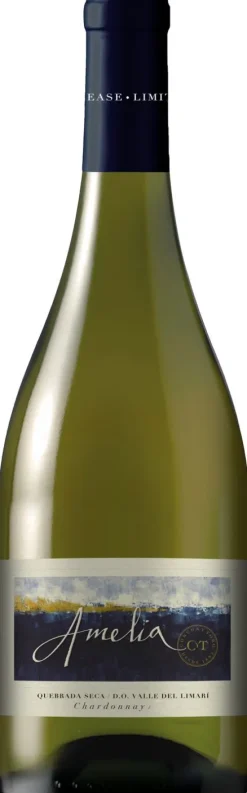 Chardonnay Single Vineyard Limari|Amelia Discount