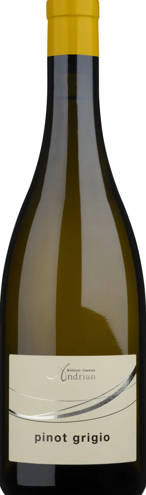 Pinot Grigio|Andrian Discount