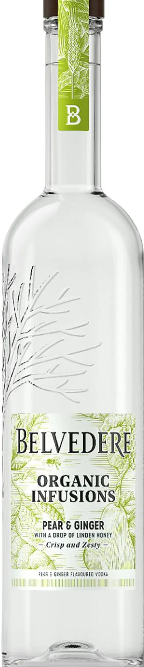 Organic Infusion Pear Ginger|Belvedere New