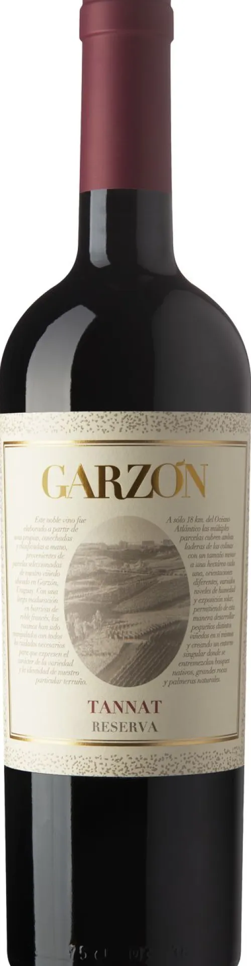 Bodega Garzón Reserva Tannat|Bodega Garzón Sale
