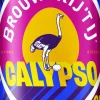 Calypso Session|Brouwerij 't IJ Hot