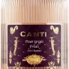 Pinot Grigio Friuli|Canti Discount