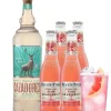 Cocktailpakket Pink Paloma|Gall & Gall Online