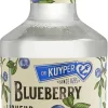De Kuyper Blueberry likeur|De Kuyper Sale
