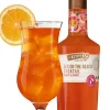 De Kuyper Sex on the Beach Cocktail|De Kuyper Hot