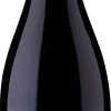 Aconcagua Costa Pinot Noir|Errazuriz Online