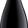 Aconcagua Cuvée Pinot Noir|Errazuriz Discount