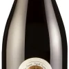Organic Shiraz|Inycon Outlet