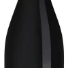 Maitre de Chai Chinon|Maitre de Chai Best