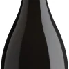 Masottina Costabella Prosecco Superiore Brut Organic|Bottega Best