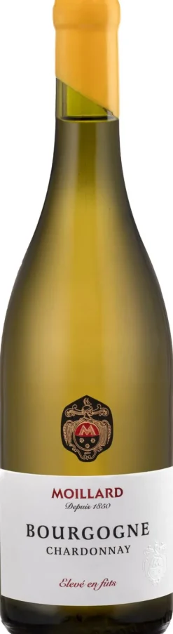 Bourgogne Chardonnay|Moillard Online