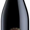 Pagus Bisano Valpolicella Ripasso Superiore|Pagus Bisano Online
