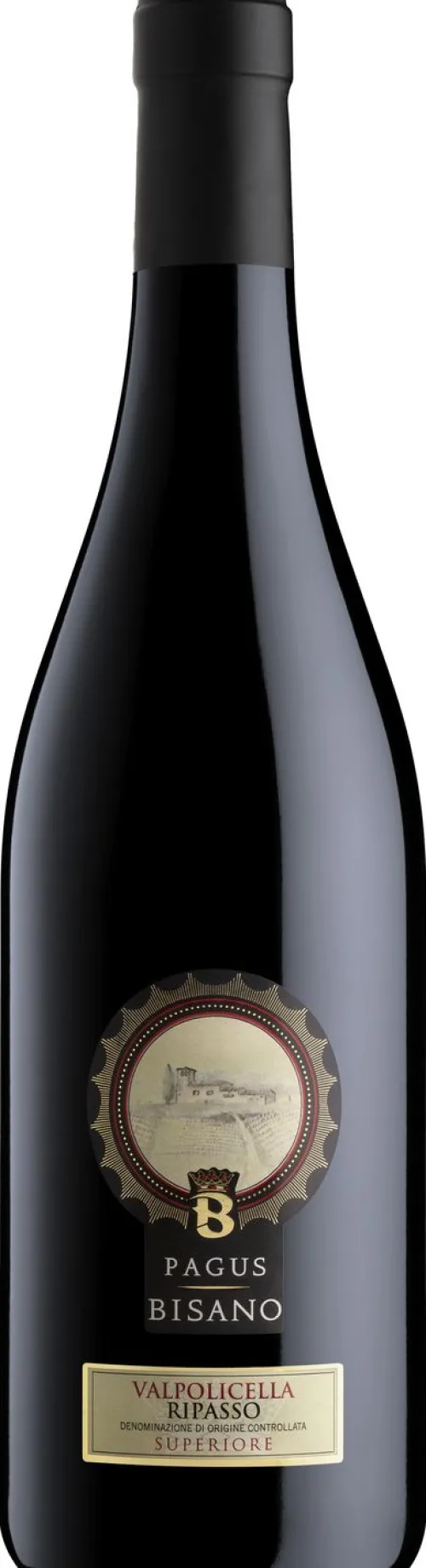 Pagus Bisano Valpolicella Ripasso Superiore|Pagus Bisano Hot
