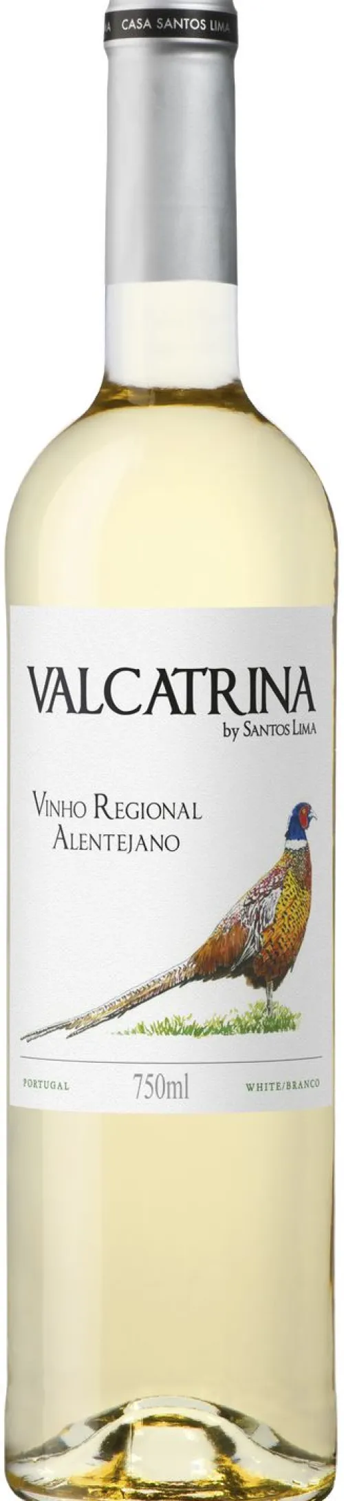 Valcatrina Branco|Casa Santos Lima Hot