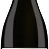 Gran Reserva Pinot Noir|Valdivieso Outlet