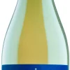 Winemaker's Reserva Sauvignon Blanc|Valdivieso Discount