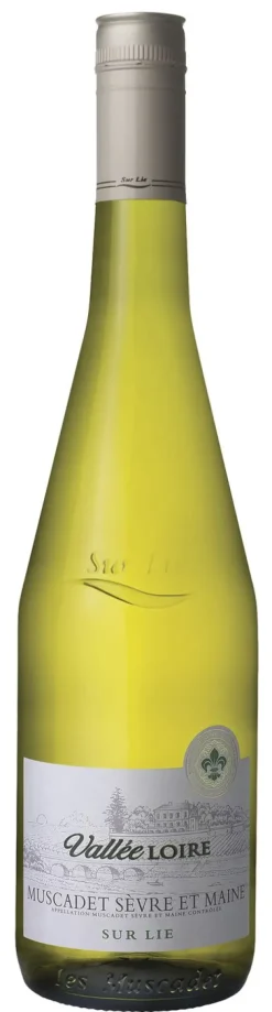 Vallée Loire Muscadet de Sèvre & Maine Sur Lie|Les Courtelles Clearance