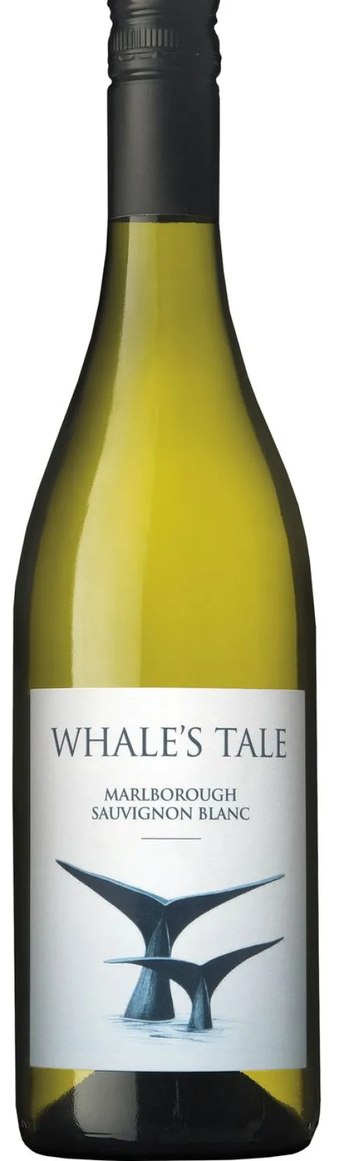 Whale's Tale Sauvignon Blanc|Whale's Tale Sale