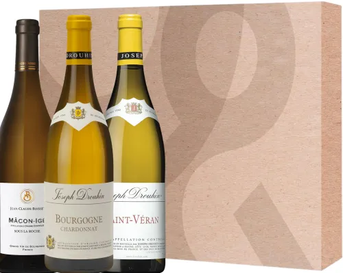 Wijnbox Bourgogne Klassiek Wit|Gall & Gall