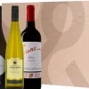 Wijnbox Feest Deluxe|Gall & Gall Online